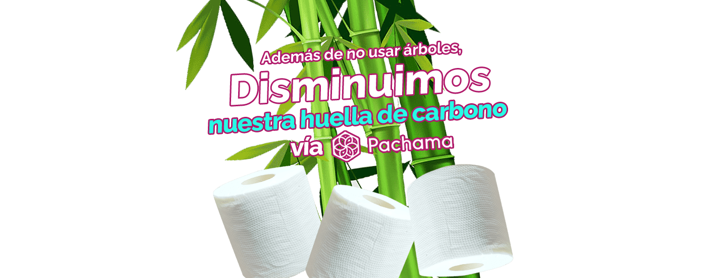 Limited Lot De 6 Paquets De 4 Rouleaux De Papier Toilette En Bambou Durable  (24 Rouleaux Au Total)[H185] - Cdiscount Au quotidien
